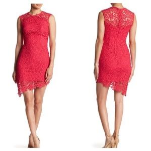 BEBE lace sleeveless dress NWT